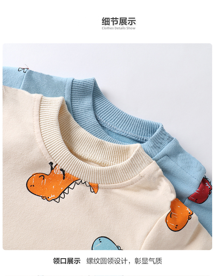 O1CN01IbtNrH2CrsG891JmD_!!1537