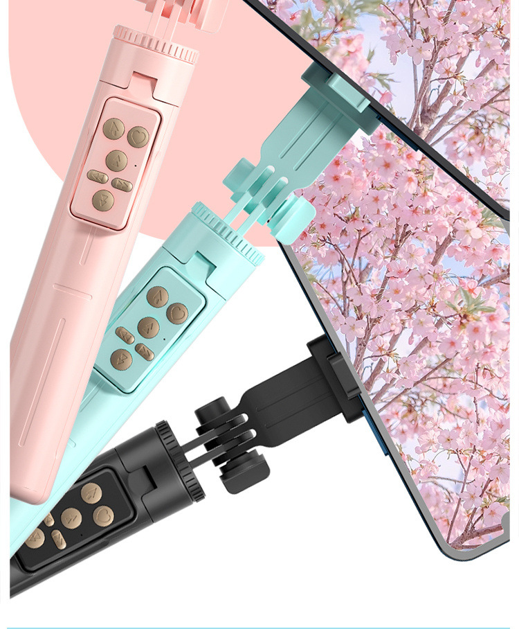 7e77d696-5dd3-406f-b4e4-6cff1ad3aa4c.jpe