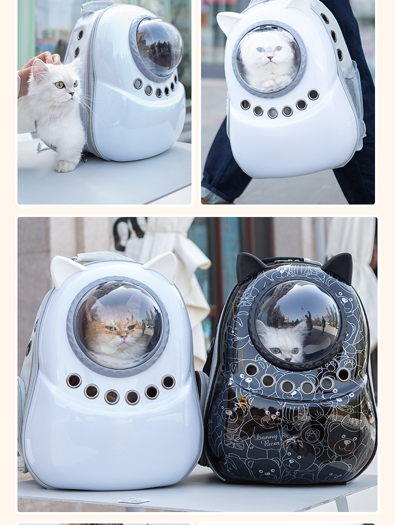 6e64babd-4ac4-47c6-9f65-cefb22beaa64.jpe