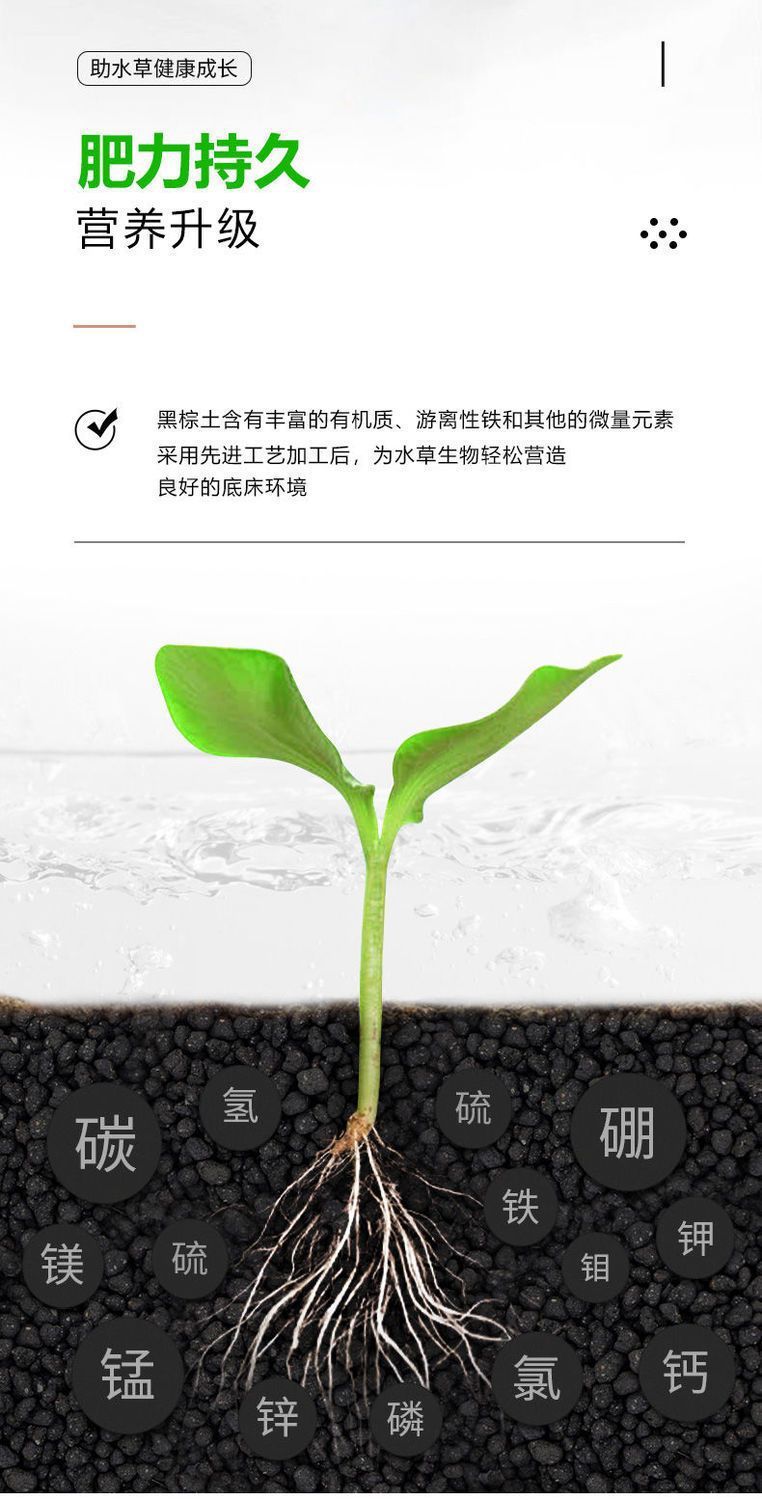 aa0ae1b5-b8a4-43e3-9b6e-c759c7bba3a3.jpe