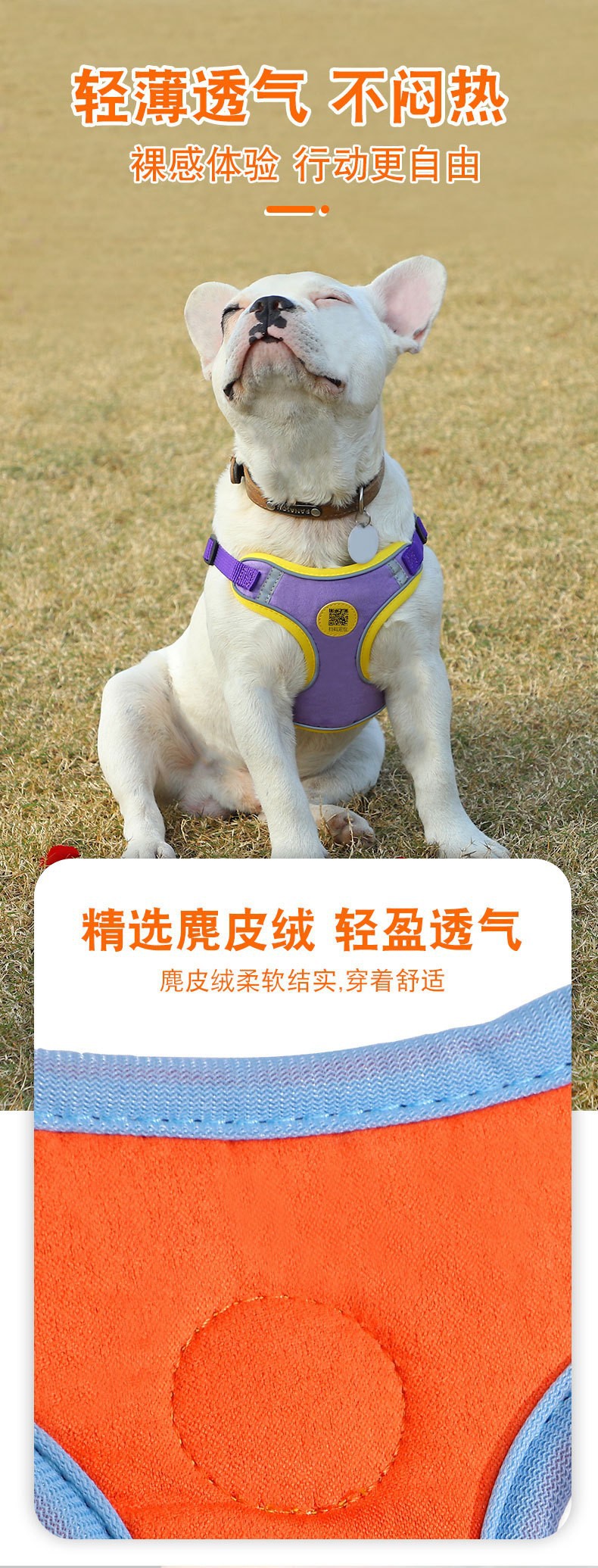 O1CN016Sg0FM1adGLA9kVbz_!!2206