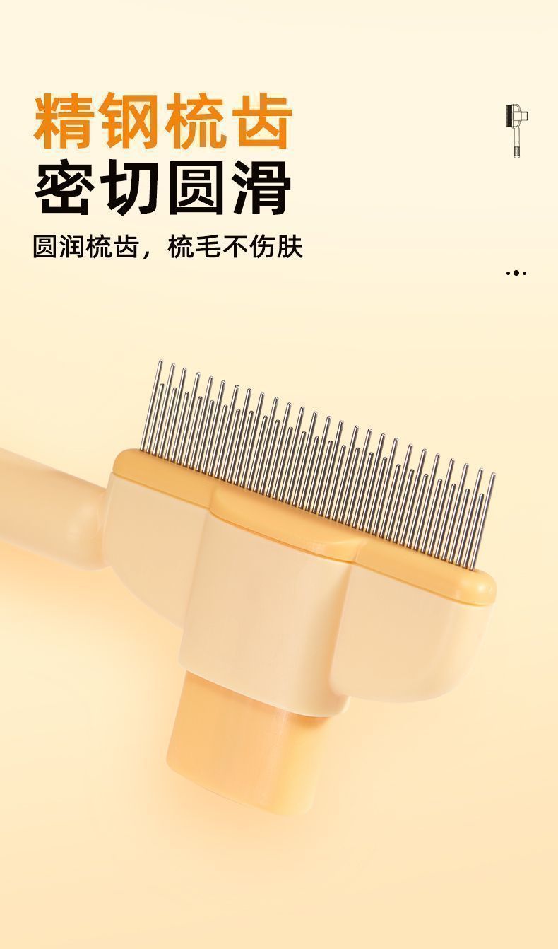 54c577df-10a7-4b6b-8b0b-4fed8dd27bce.jpe