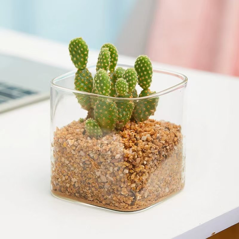 73b19fa5d4cdc9e00ddb4b2233881d