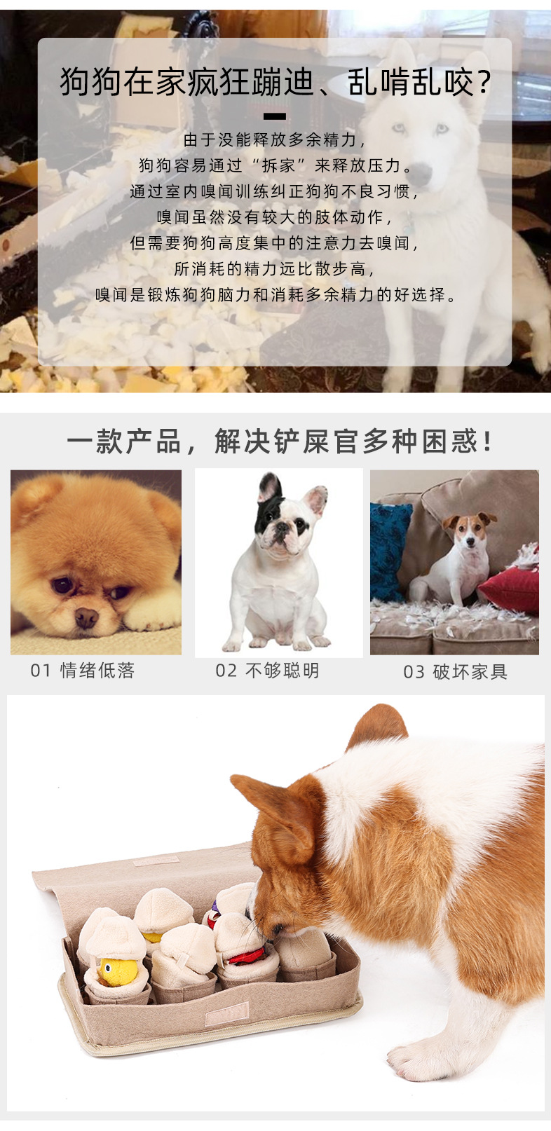 PD60114狗狗鸡蛋盲盒益智玩具_02.jpg