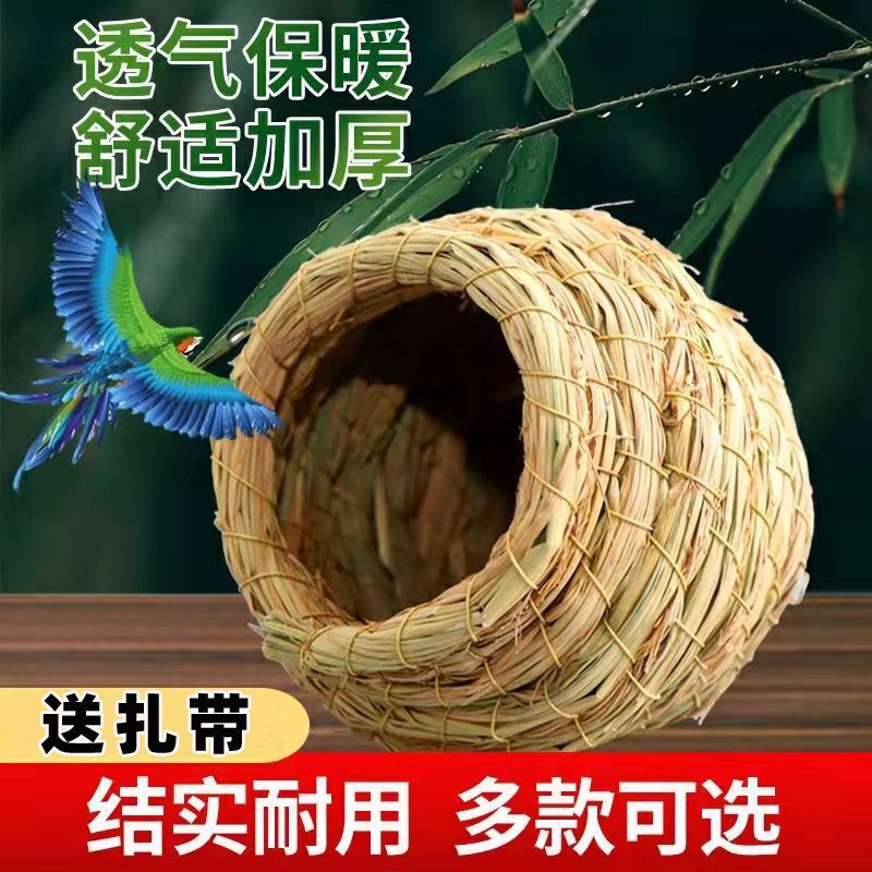 1cacec03-3c3a-4636-95dc-f4fddfcd913c.jpe
