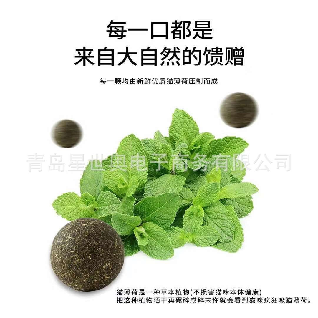 微信图片_20210416221626