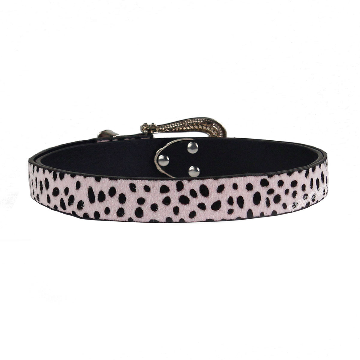 微信图片_20230527150731 拷贝.jpg