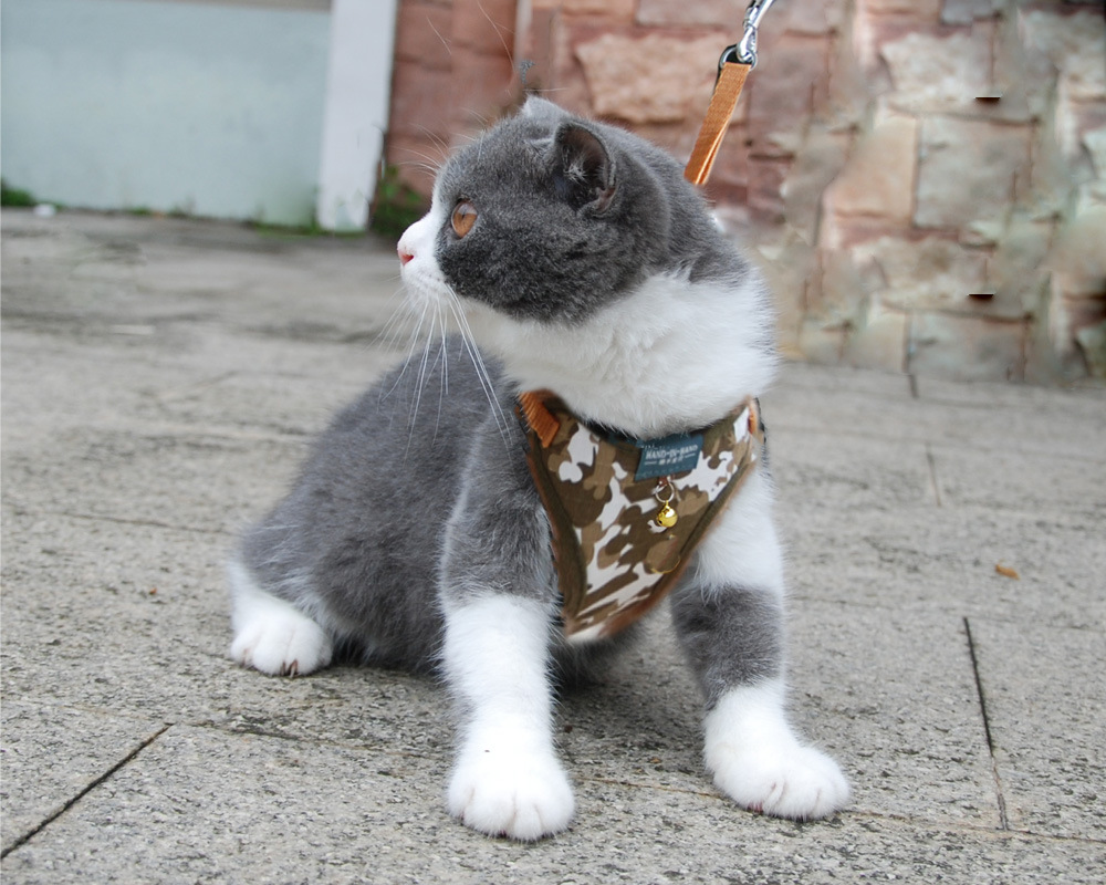 cat vest harness cam brown.jpg