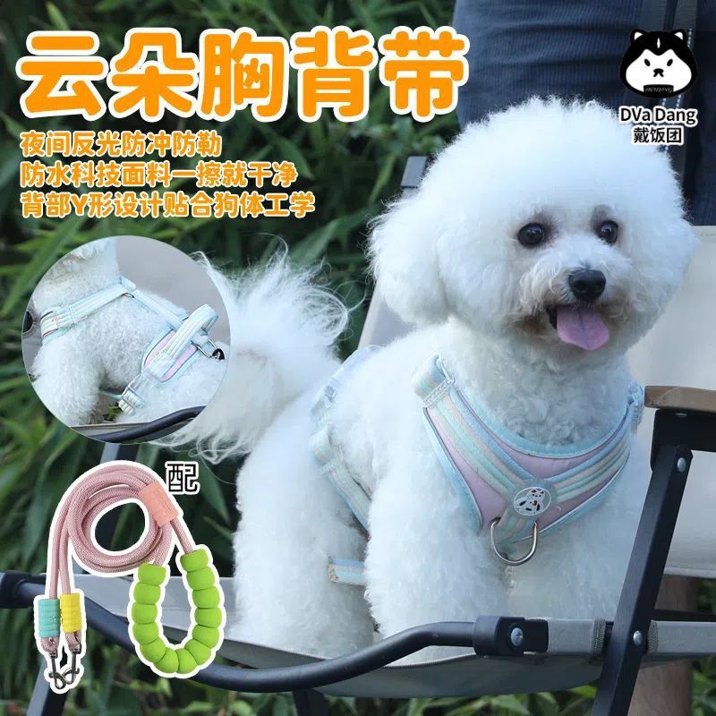 e6c1a262-72e5-4325-8696-4c57cbbe2c0f.jpe