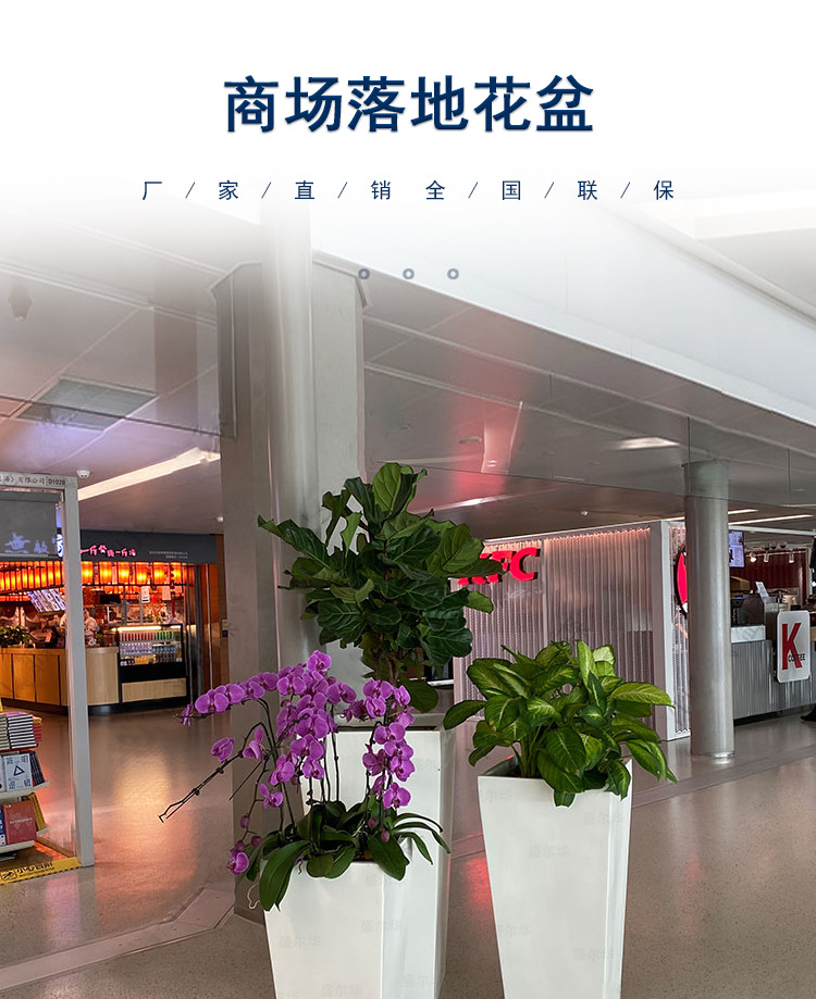 详情图_1.jpg