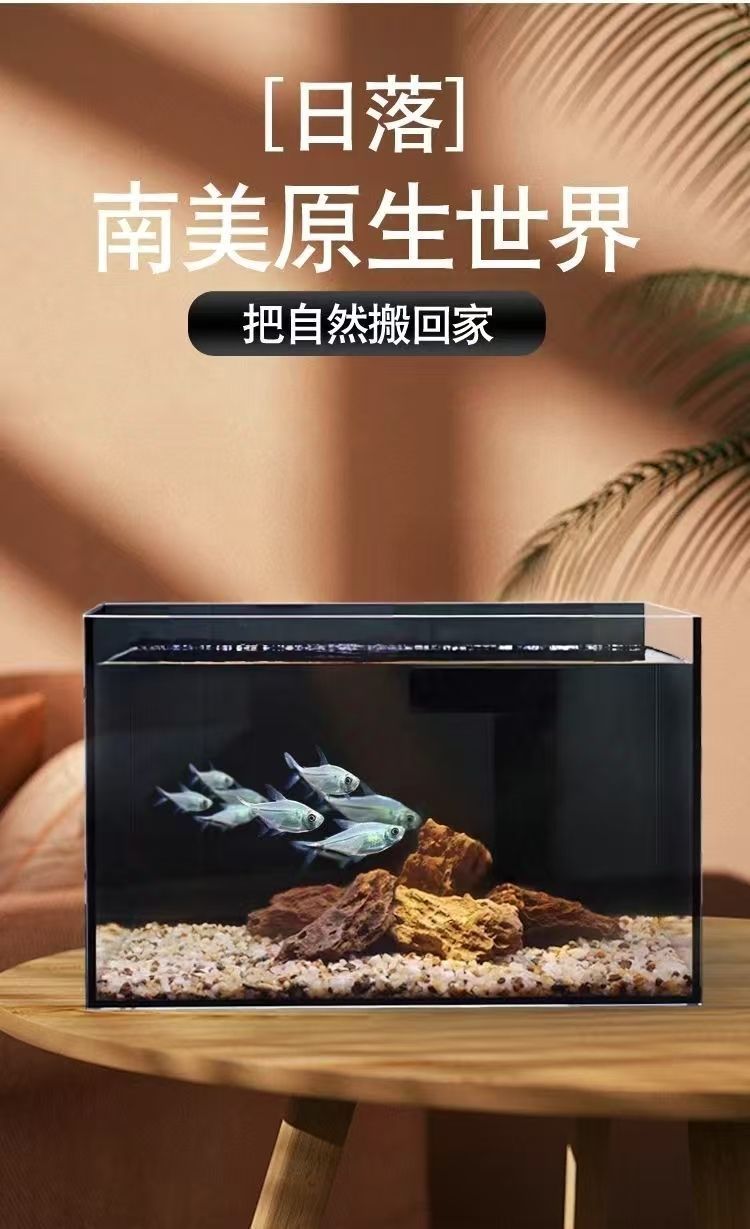 91c6b6fc-0114-43de-a6dc-f51c1f98e2c8.jpe