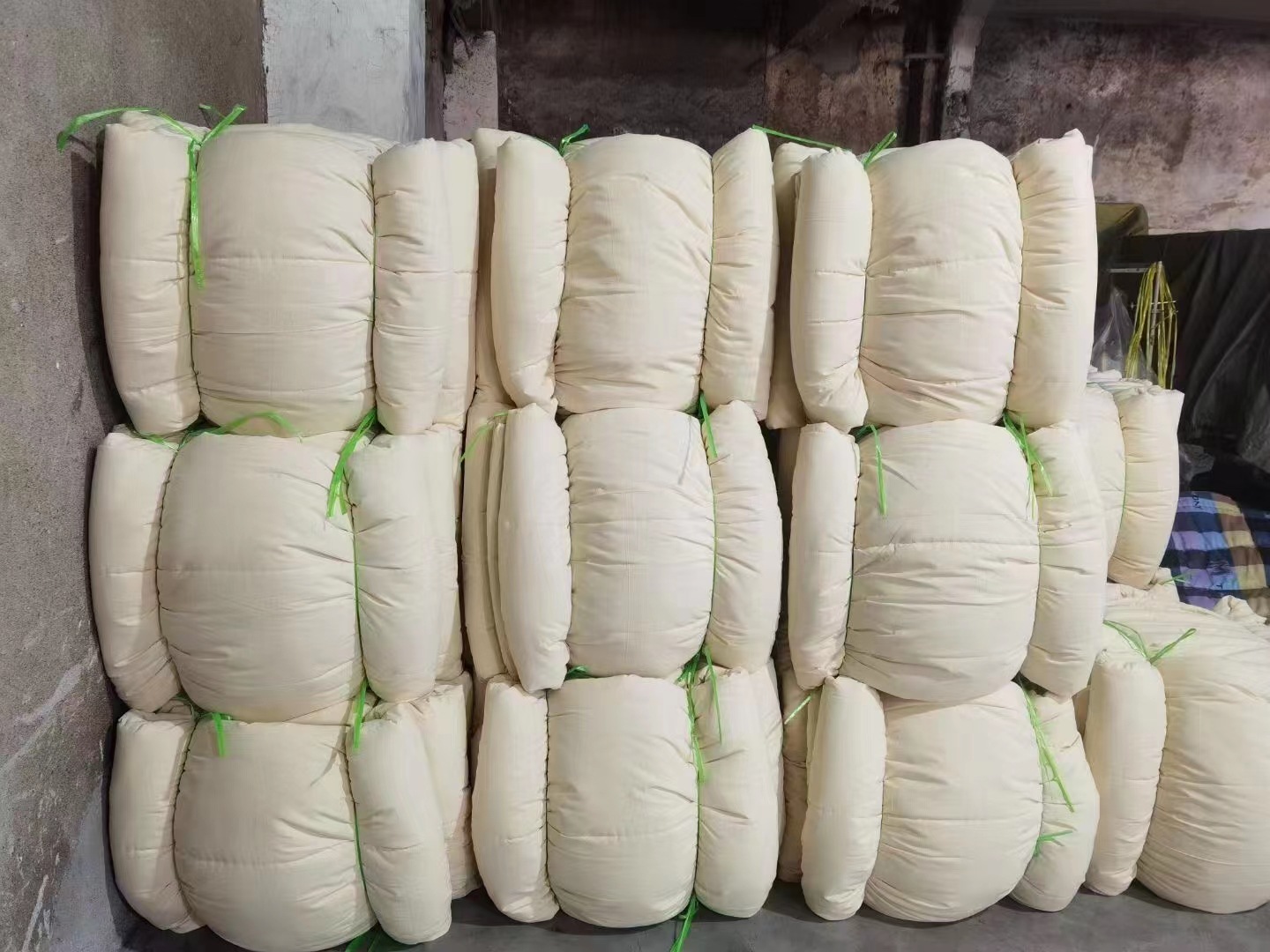 IMG_8504(20230813-135737)