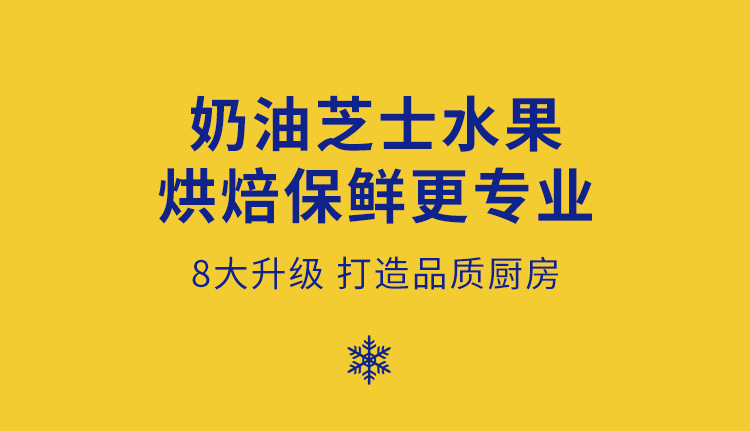 冰柜商用冷冻柜