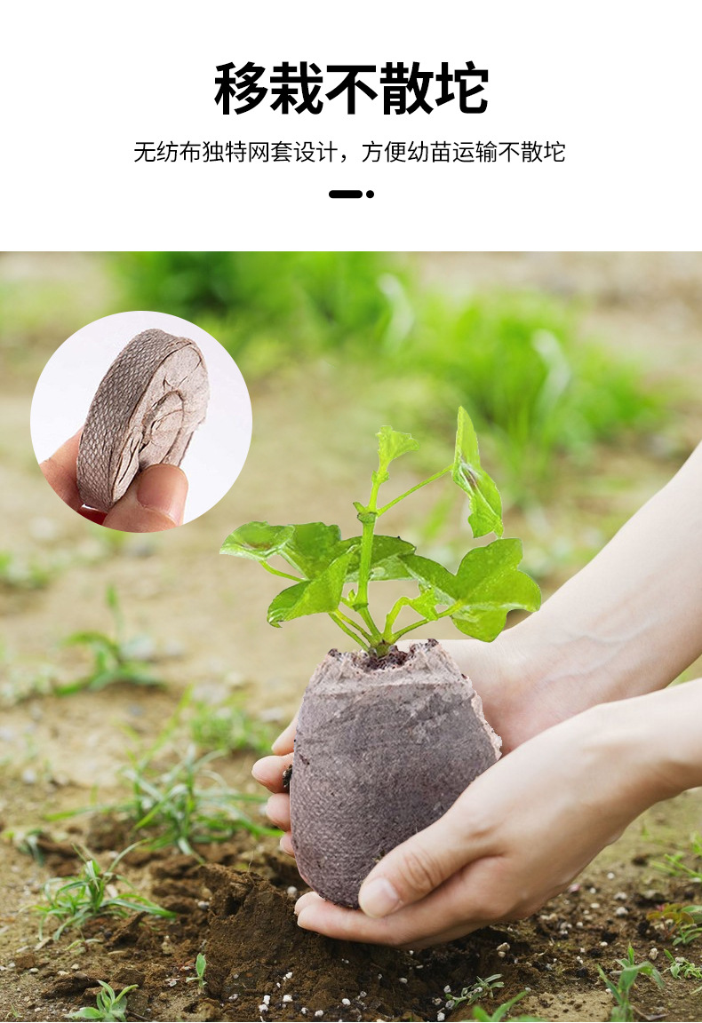 育苗块播种器_04