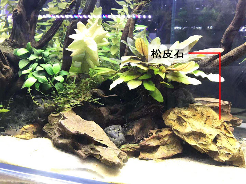 微信图我问问片_20210903103023.jpg