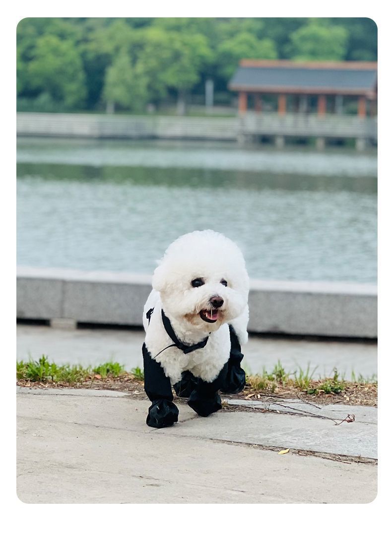 24d5357c-edca-439d-b66d-3a83491f31b5.jpe