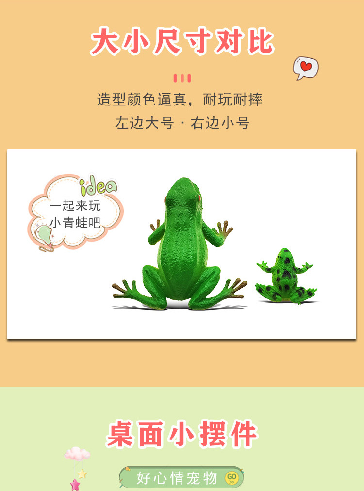 青蛙详情_06.jpg