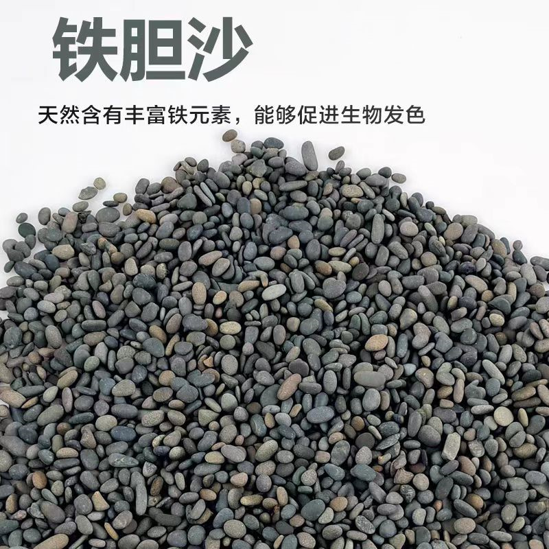 微信图片_20250218140007