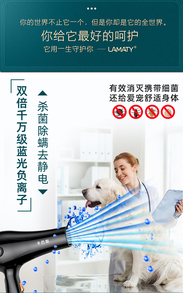 07e0de1a-cbc1-465e-8474-4d4d72f1b13e.jpe