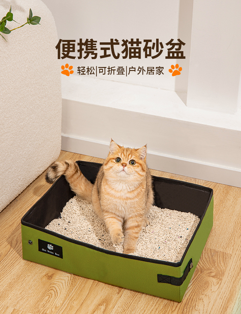 c2229b9f-c5b2-456d-b389-ae07f143e60e.jpe