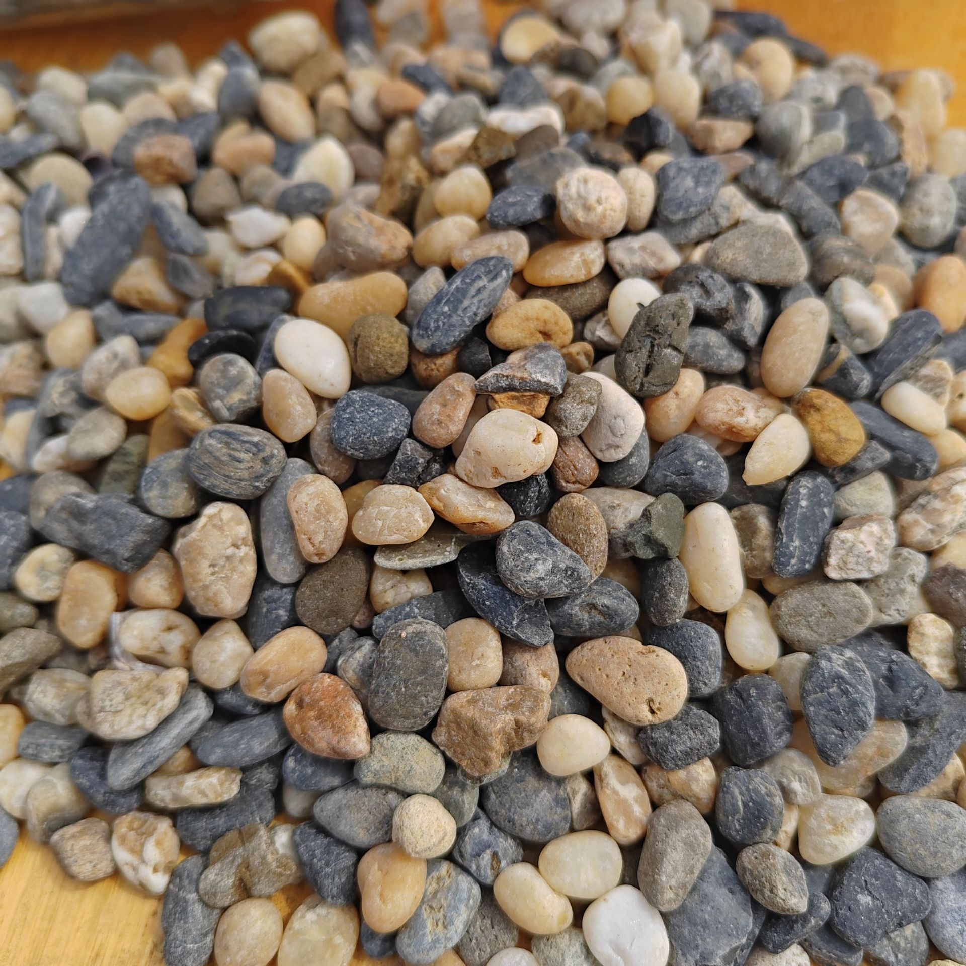 微信图片_2025-05-07_144919_646