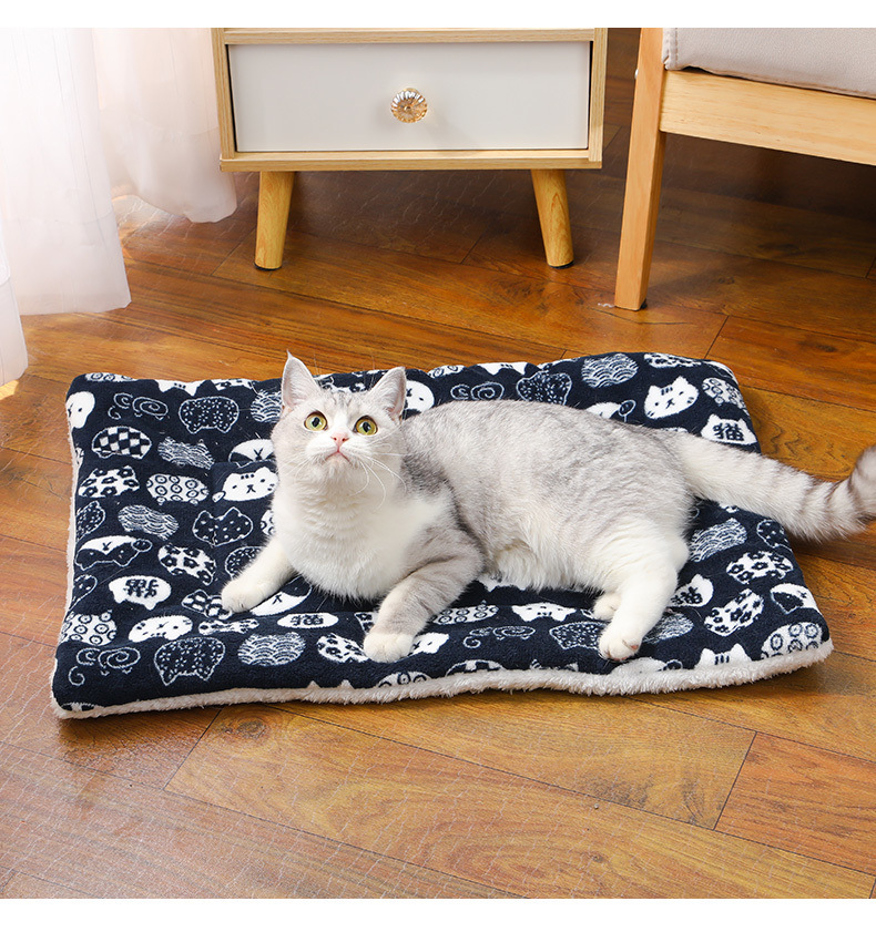 b0d4fd11-6d12-4c45-980e-8e577f9ef3a4.jpe