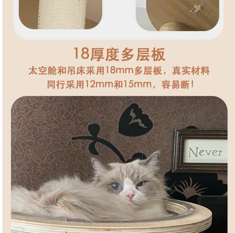 bed91e9a-6b4b-4e1e-8bb5-0d432ea8b5c0.jpe