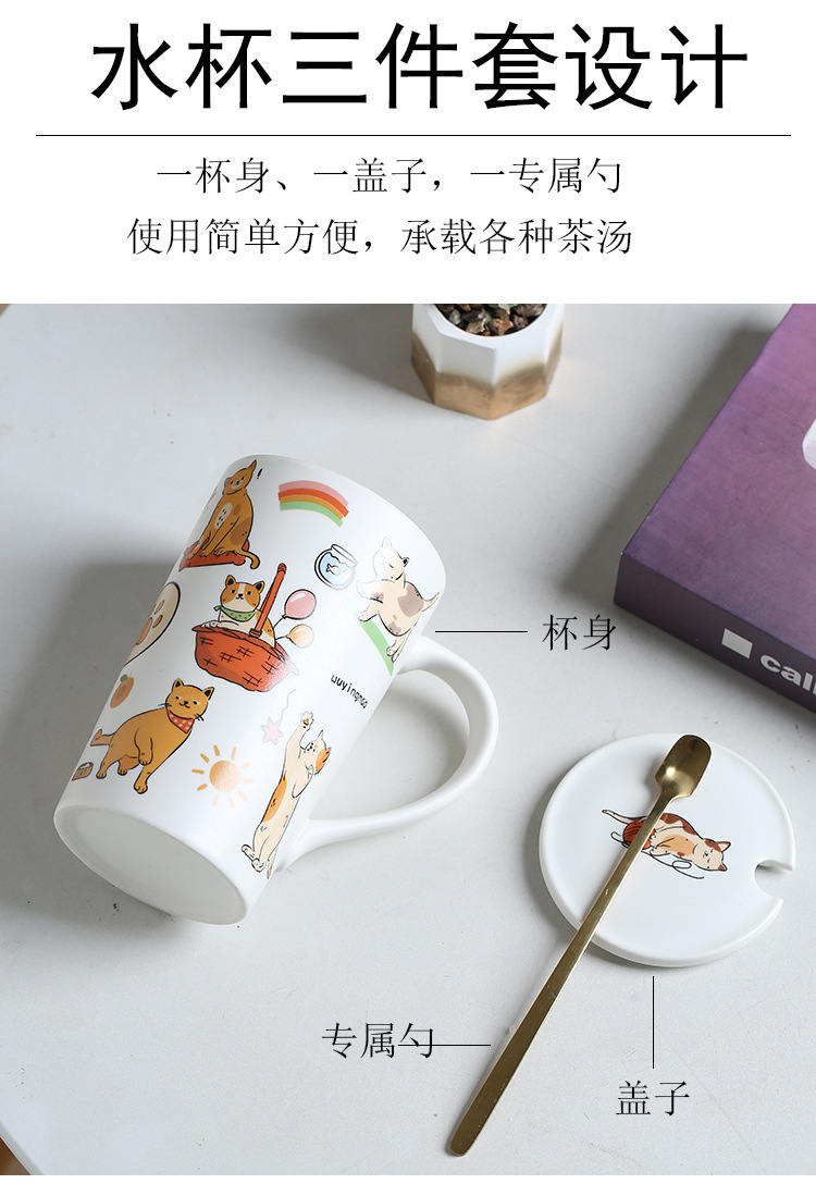 7.jpg?x-oss-process=image/format,png