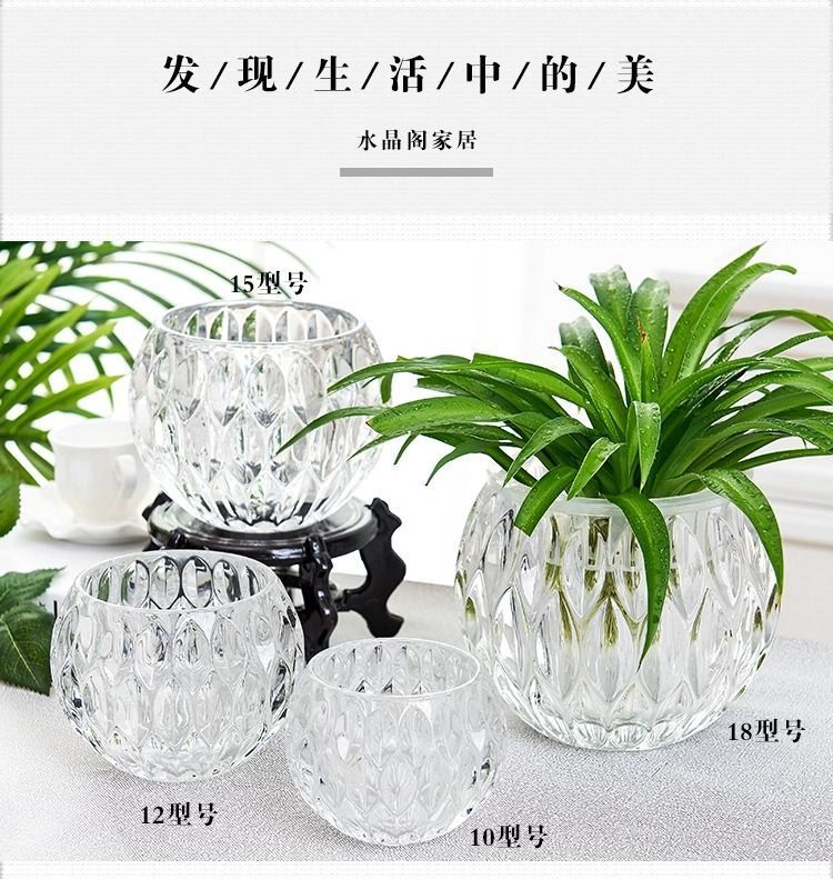 9d3a744d-53b2-402e-9d82-16f9bf19e60e.jpe