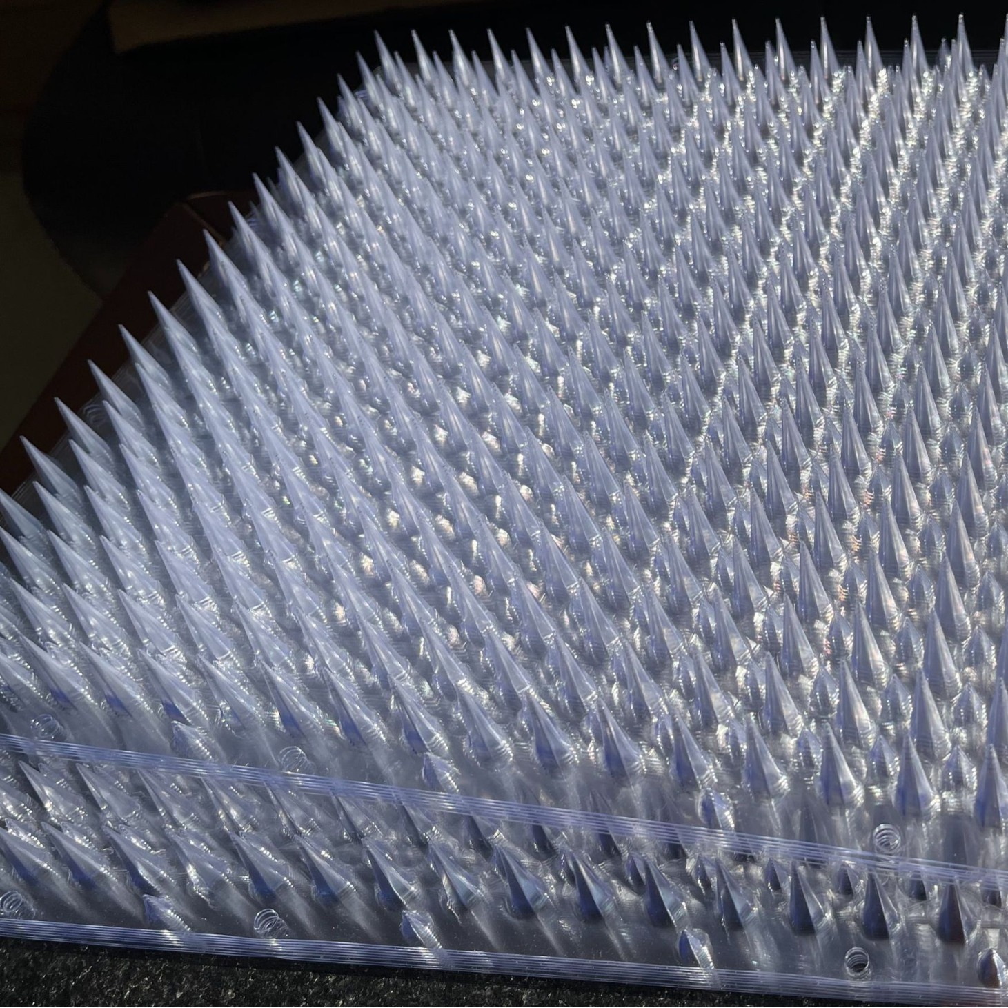 2024-05-15 17:40:44.jpg