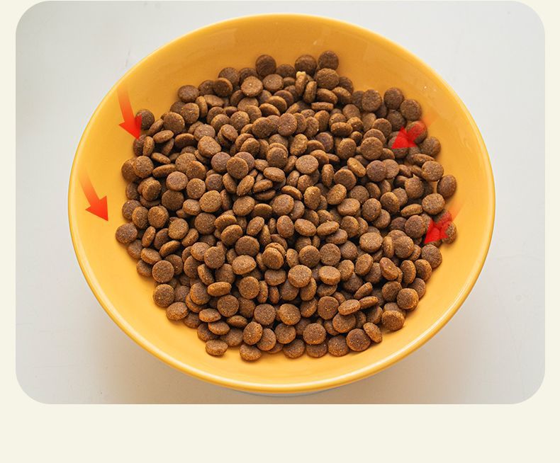 de652604-b0cb-485c-96eb-e66b8db809b5.jpe