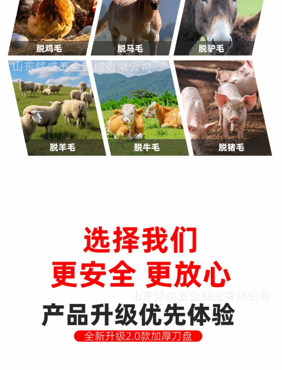 详情_04.gif