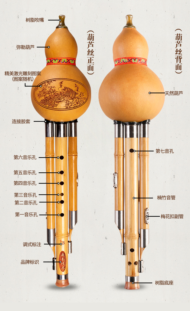 金丝楠竹_06(1)