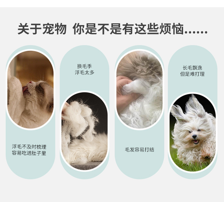 a82867e3-2b3b-4aba-a84f-dcd99e623c18.jpe