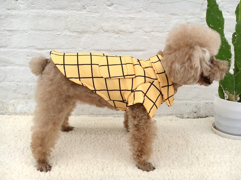 園長睡衣 (2).JPG