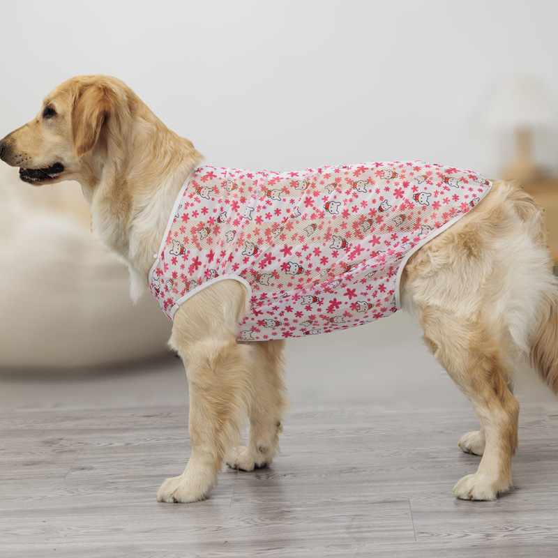 2e364473-e791-4e2a-9676-514229982586.jpe