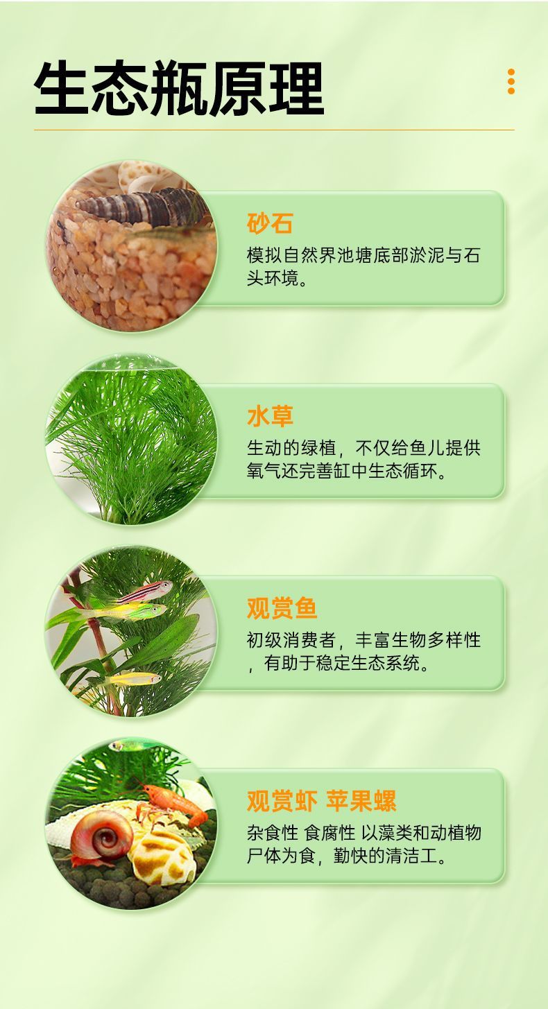 053d5c5d-28e9-4eea-8357-705010084f59.jpe