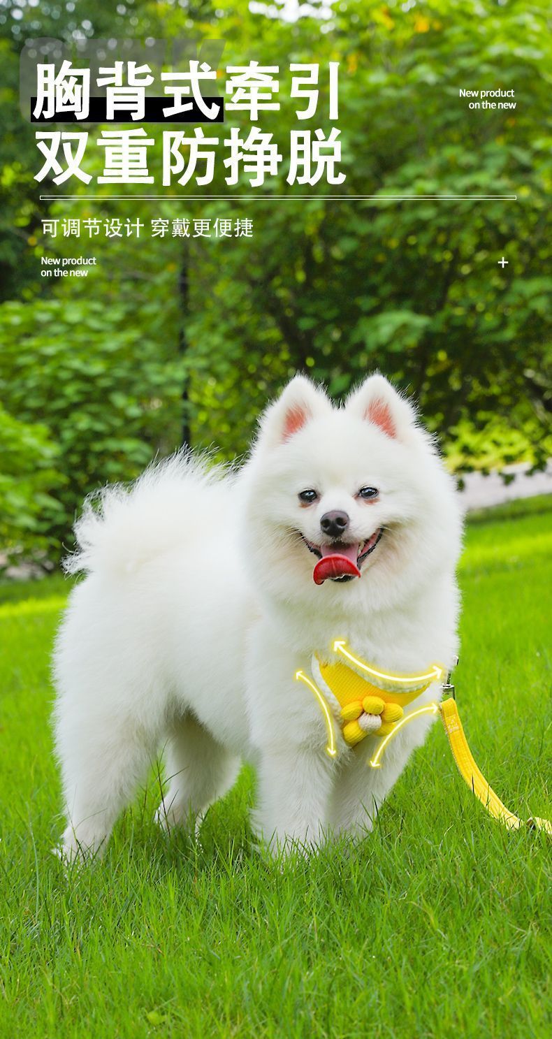 d5357c38-233d-49eb-9c45-ffa8bf307381.jpe