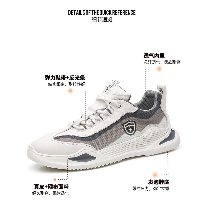 盾牌