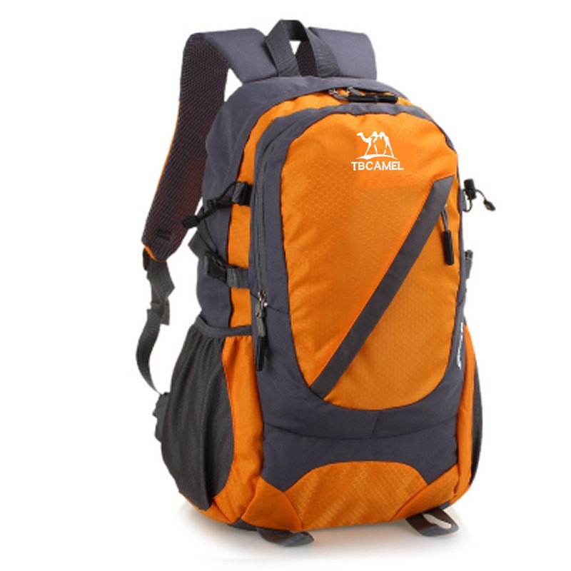 4328065008_1857309779