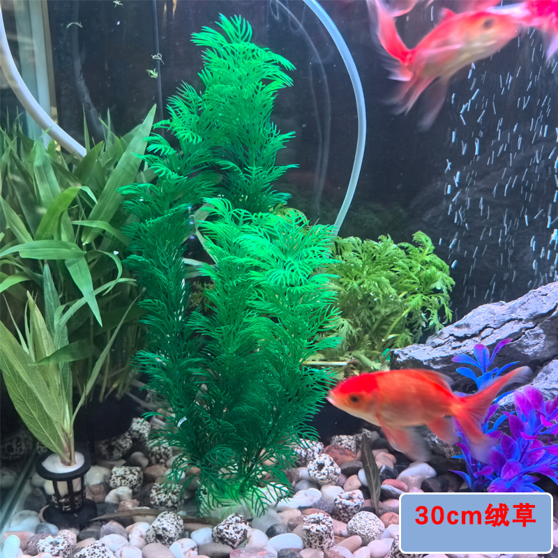 微信图片_2025-08-10_102736_118