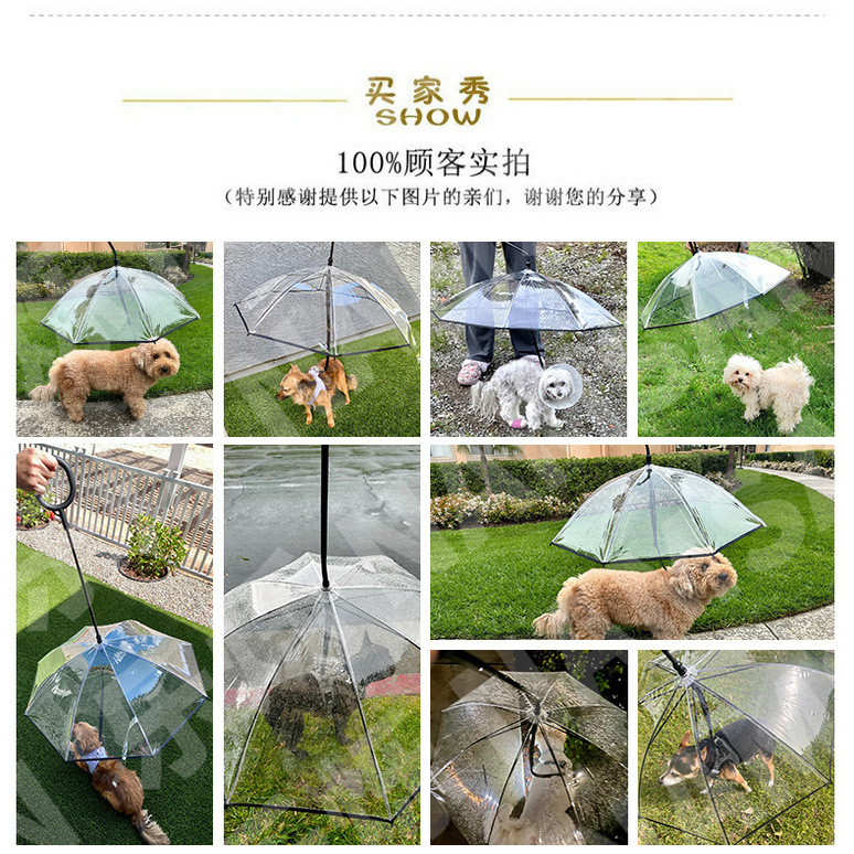 1688-C伞-带子-买家秀(1)