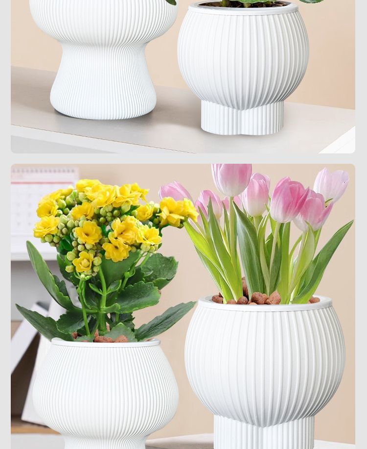 c74aada4-05a3-4a55-aaba-20f3b1766c6d.jpe