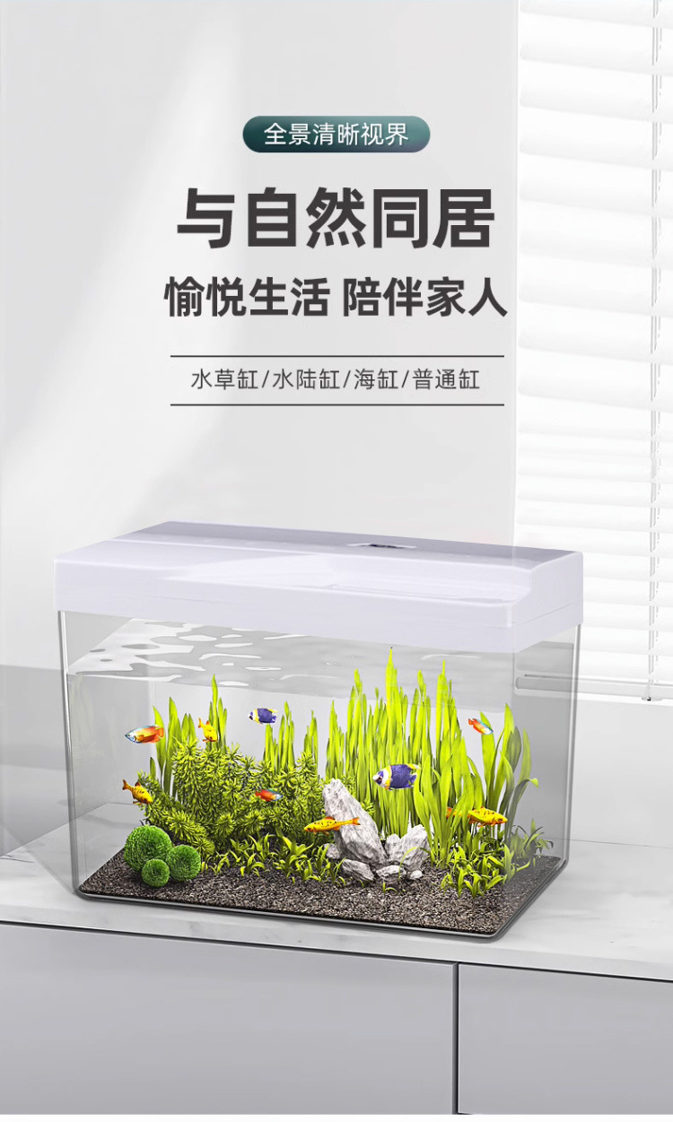 7c272835-592b-489b-8db5-1fc79d868b23.jpe