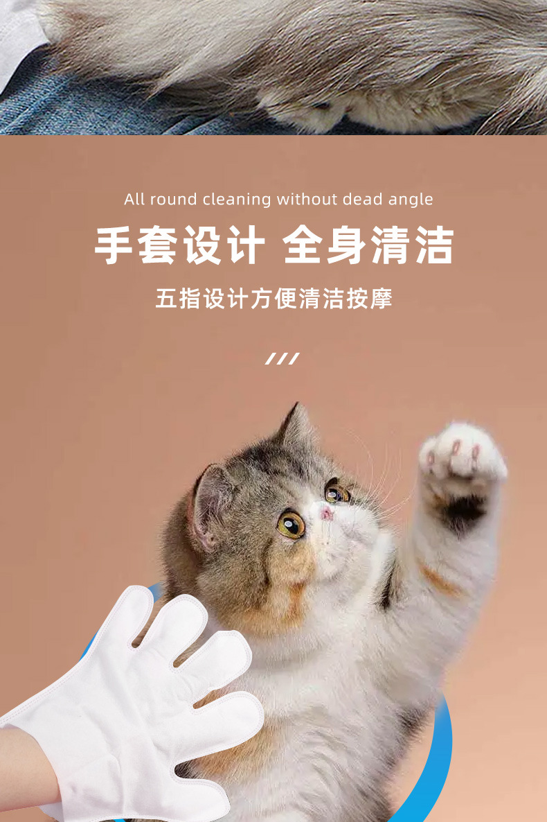 宠物手套_03.jpg