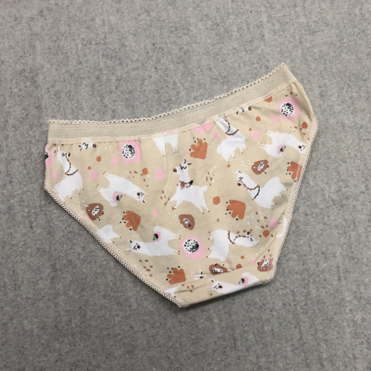 奔腾小马 (1).jpg