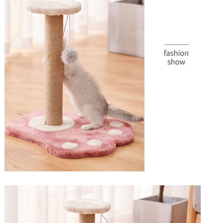 3efbd250-1b59-4e70-8276-163a82200193.jpe