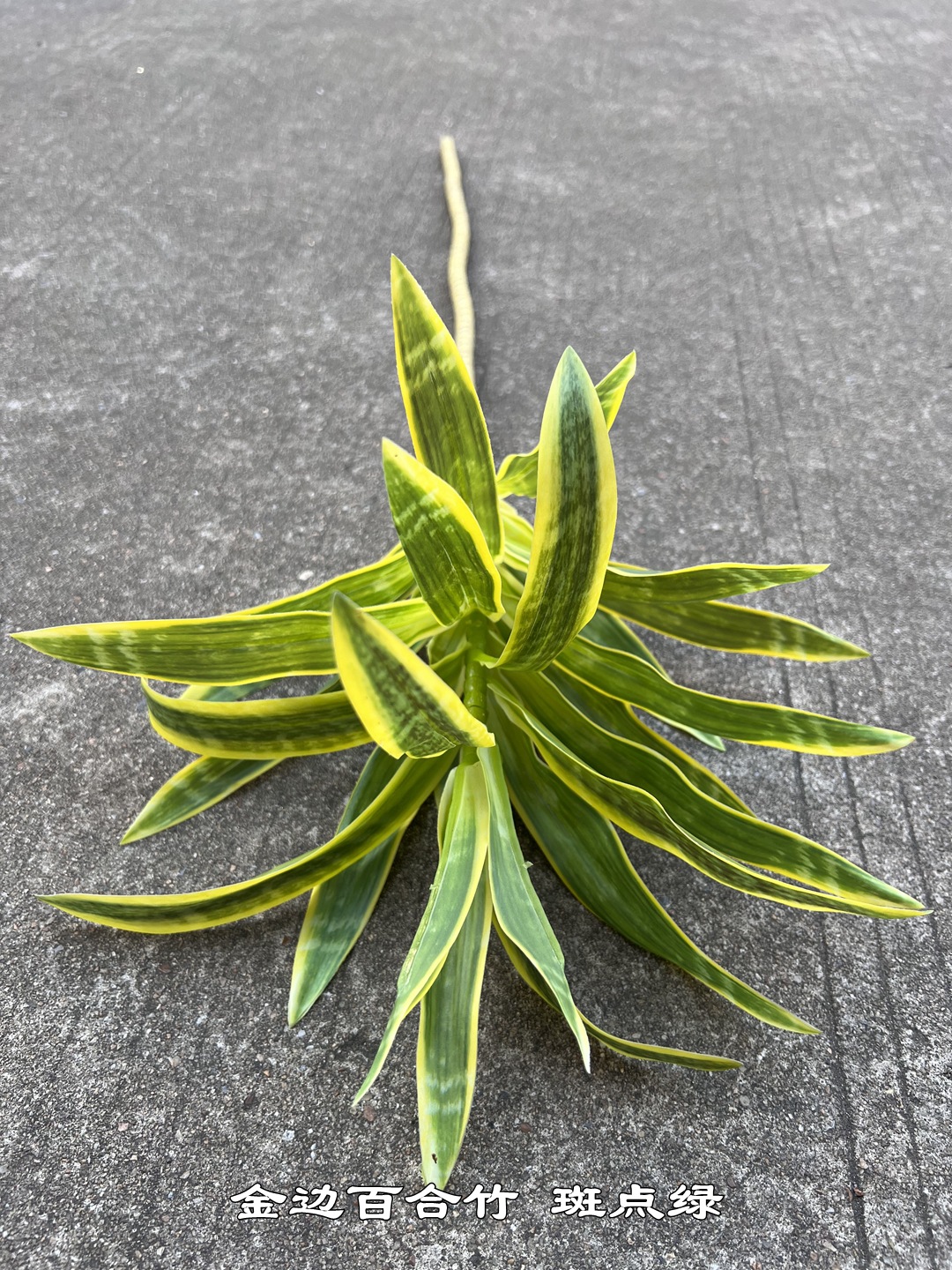 微信图片_20230710173805