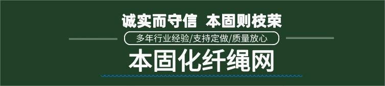 O1CN01NikDIe1CfxuTr9kZR_!!2213