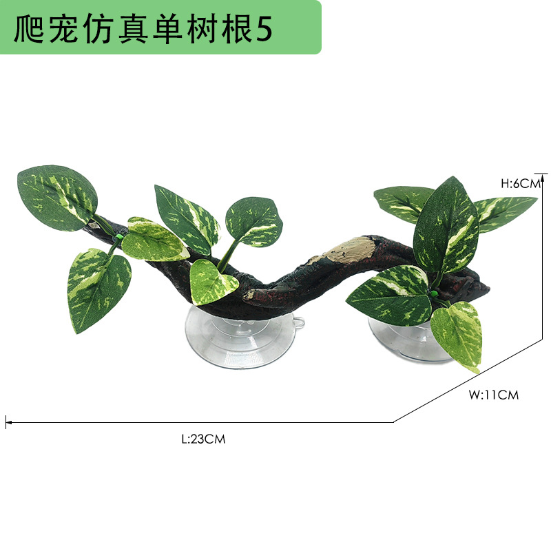14 爬虫树根5尺寸图